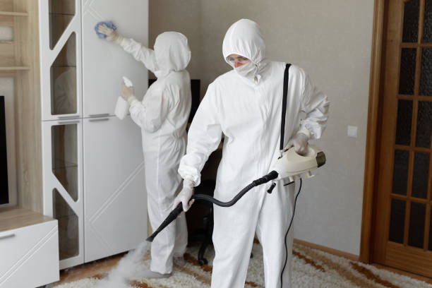 Best Crawl Space Mold Removal  in Cordele, GA