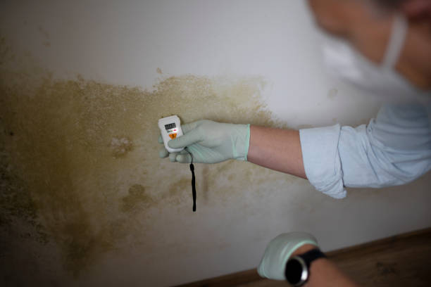Best Water Damage Restoration  in Cordele, GA